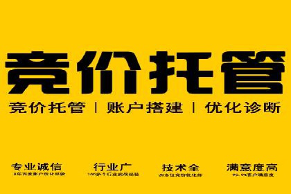 竞价SEM托管服务效果评估与案例分析